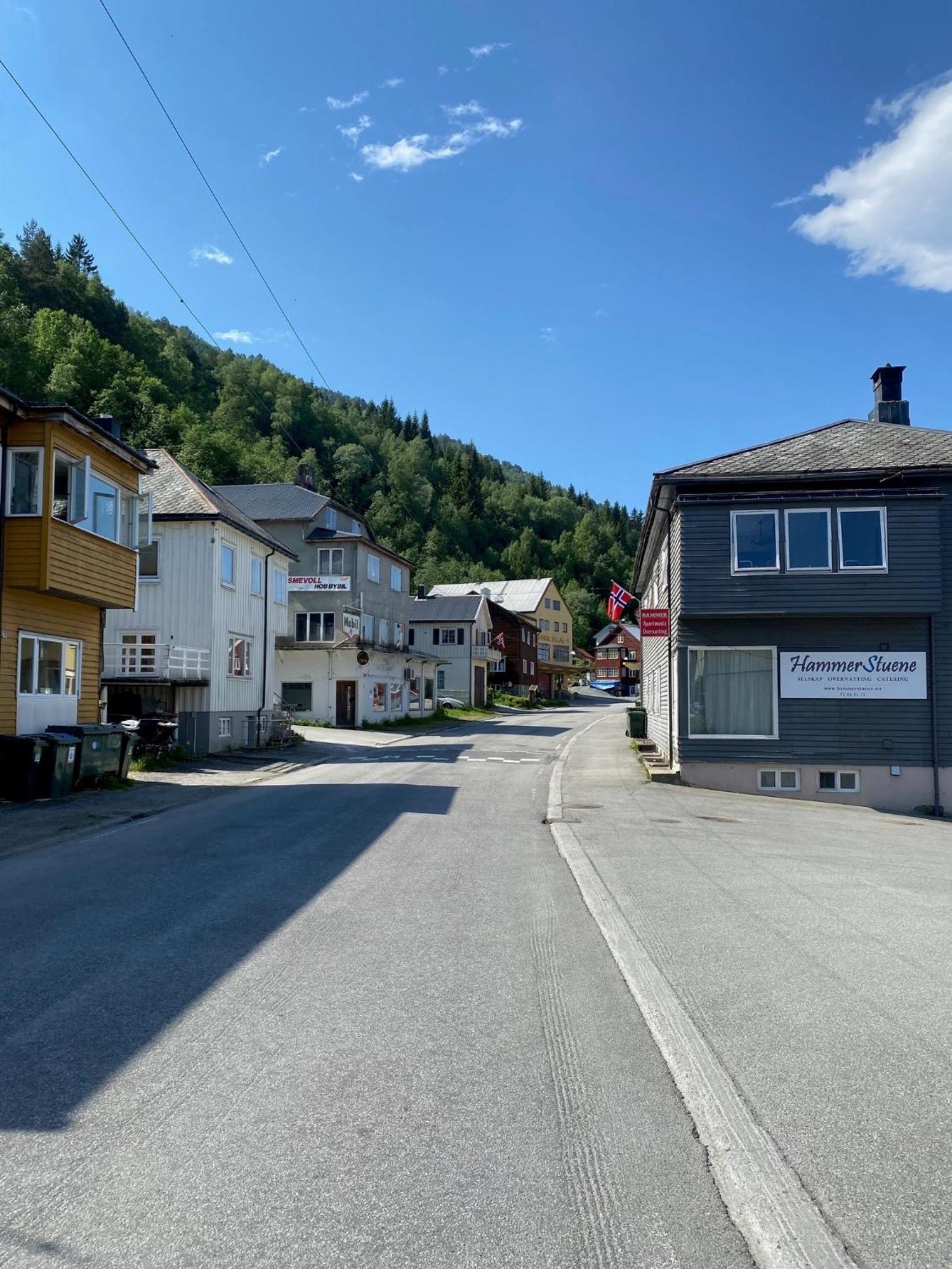 Hammerstuene Mat - Og Gjestehus Surnadal Exterior photo